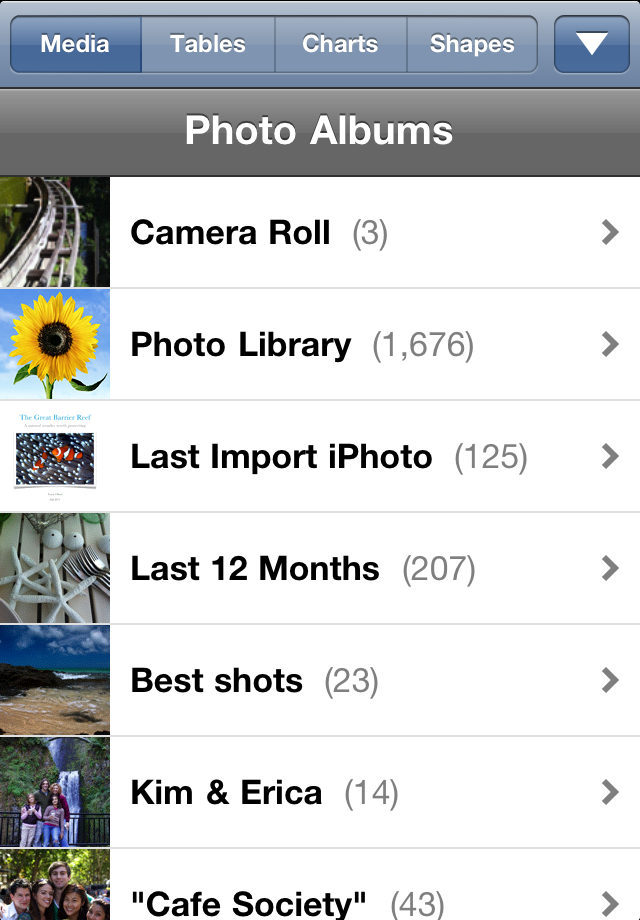 iPhone Screenshot 1